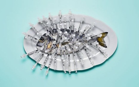 ������� �������: ���� � ����������, ������� ����� �����