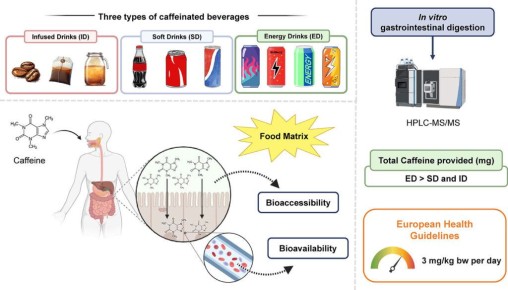 ������: ��� ������� ������ �� ��� ����������� � ��������������
