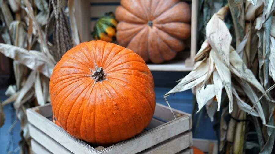 ��������� ����: ��� �������� ������� �������� � ������� � ������