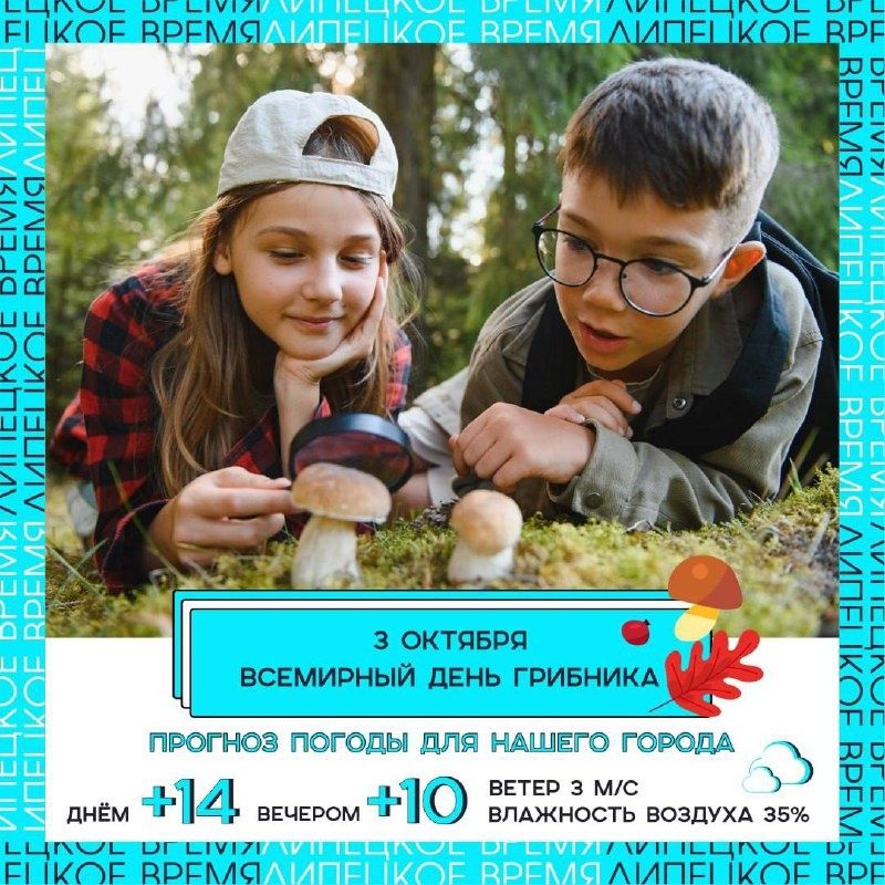 ����� ���� � ������� ������������