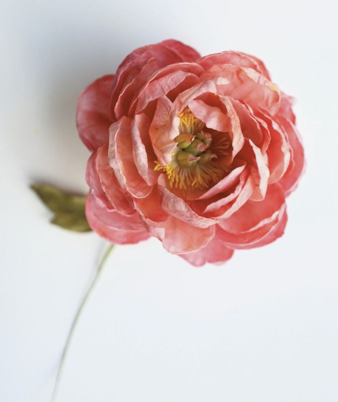 ���� �� �������� �����: ��������� ����� �� ����� ��������