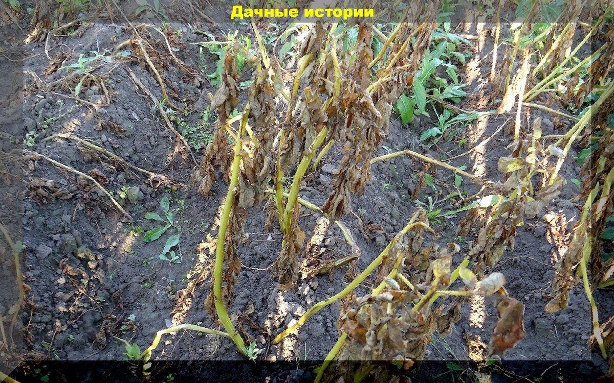 ����� ��������� ��� �����: �� ��� �������� ��������