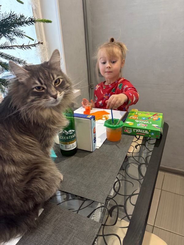 Как провести день с семьей: идеи и вдохновение