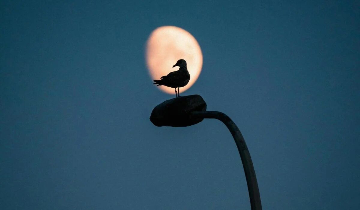 Турбулентный март 2025: два затмения и лунные фазы, которые стоит учесть