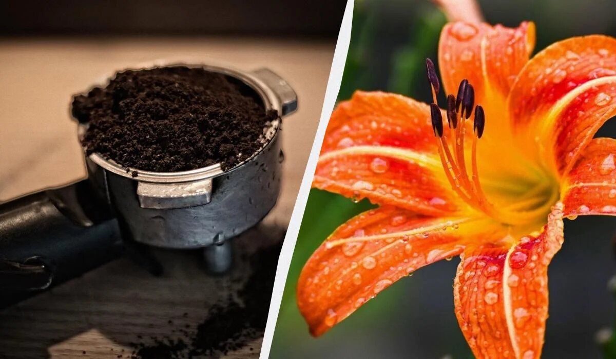 ��� �������� ���� ����� ����� ����� ������ ������� ����������