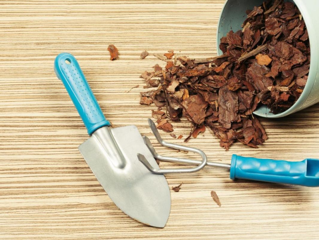 ��� ������������ ������ ��������������� � ������� ����� �����