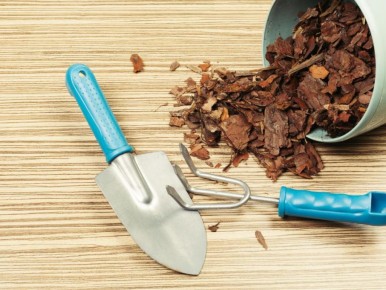 Как исчезновение мульчи свидетельствует о скрытой жизни почвы