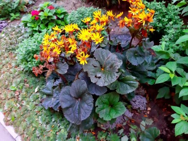 ���������: ��������� ����������� ��� �������� ������� ������ ����