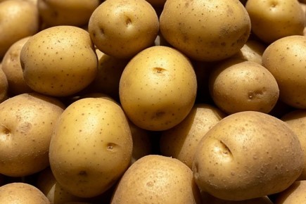 Новосибирск готовится к резкому росту цен на картофель
