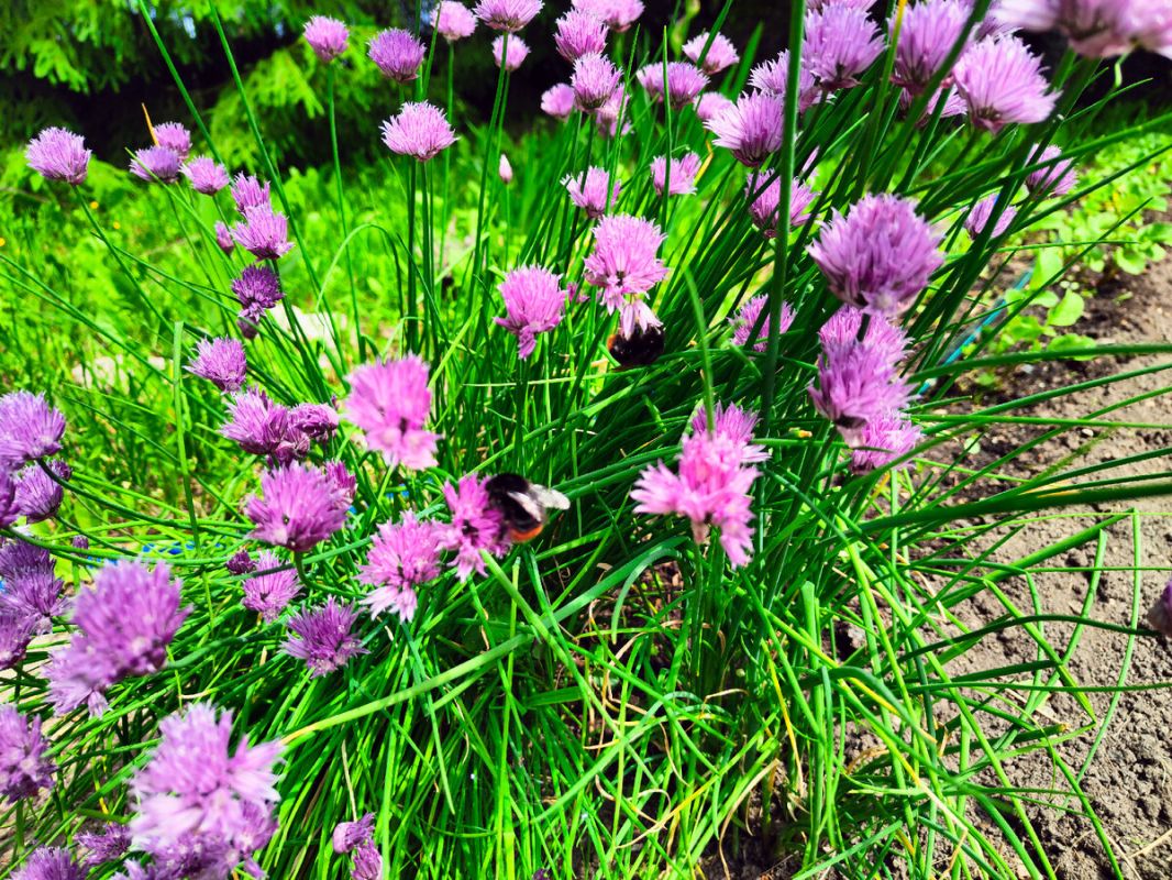 ���������� ������� �� �������: ������� �� ������ � ���������� �����