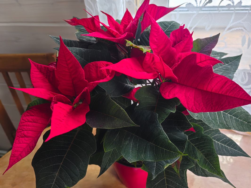 ����������: ��� ��������� �������������� ������ ������ ��� ������ �����?