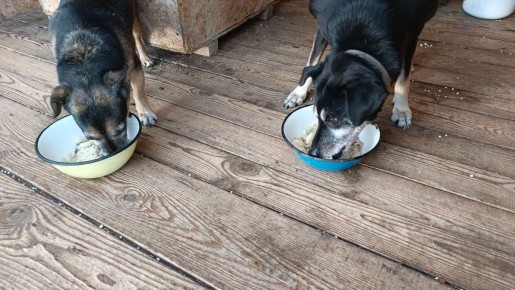 ������� ������ �������� ���������� � �����!