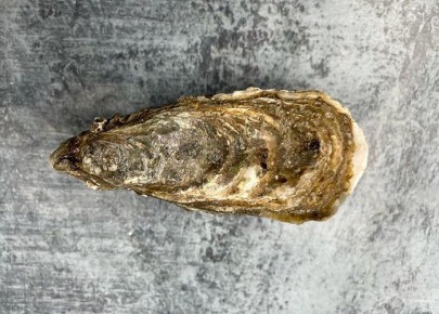 ������� ������: ��������� ����������� �����