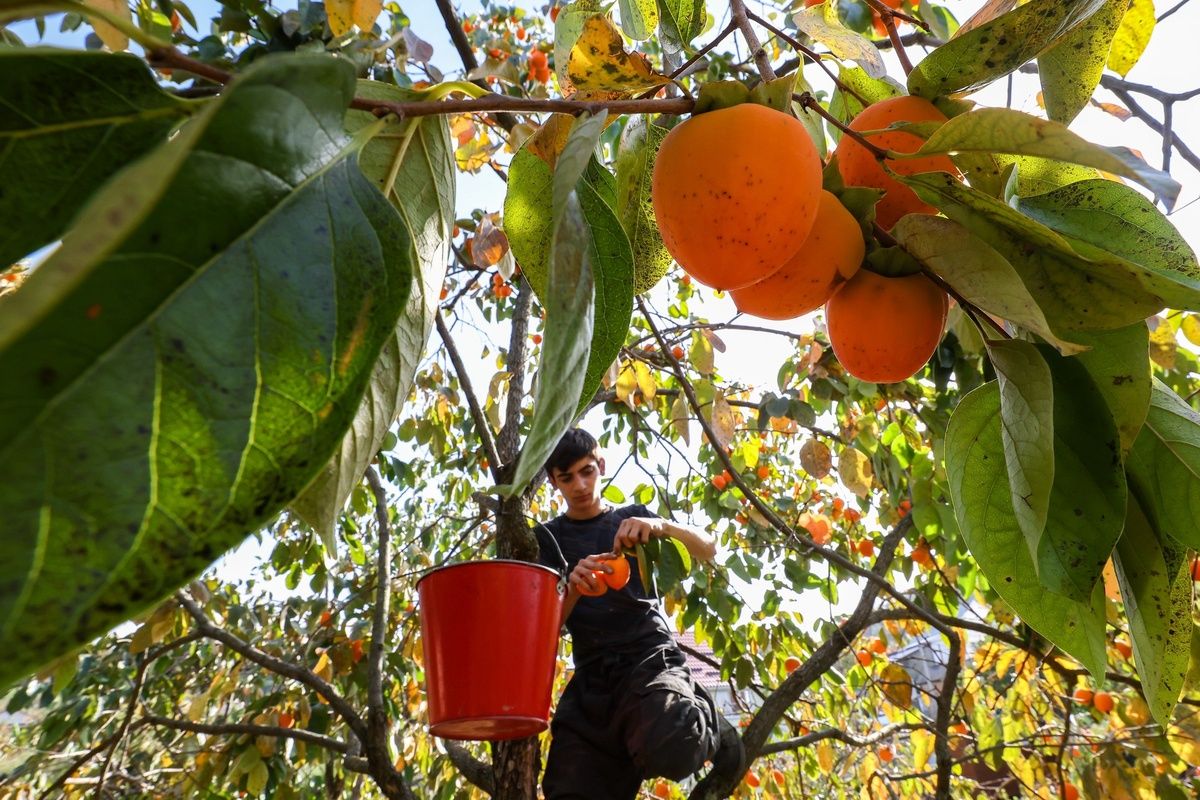 ��� ������ ������� ���� ����� � ����������� �� ��������� ����������