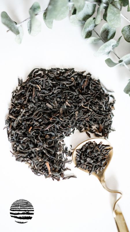 ������ ����������� ��� ����������� ������ ����������������