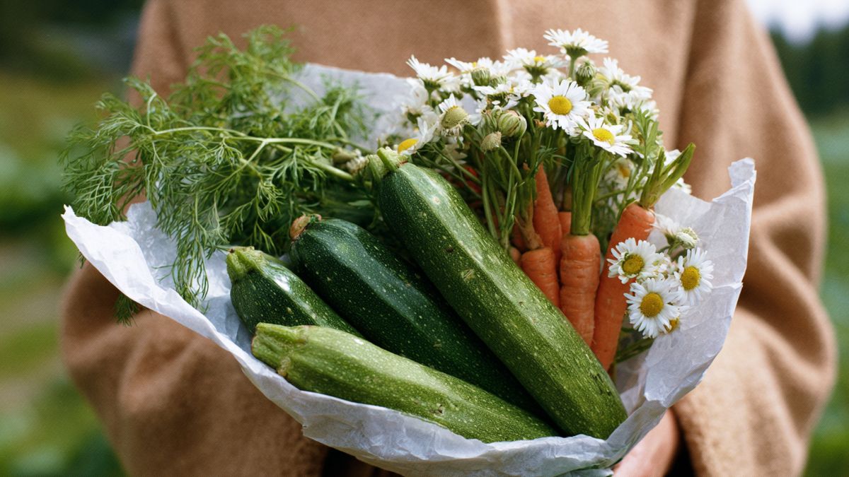 ��������� ������: 15 ���������� ������� ��� �������� �����������