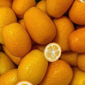 Кумкват: удивительный и миниатюрный цитрус, который стоит попробовать