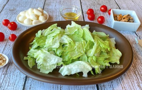 ������ ����� � ��������� ������� � ���������� ��� ������ ���������