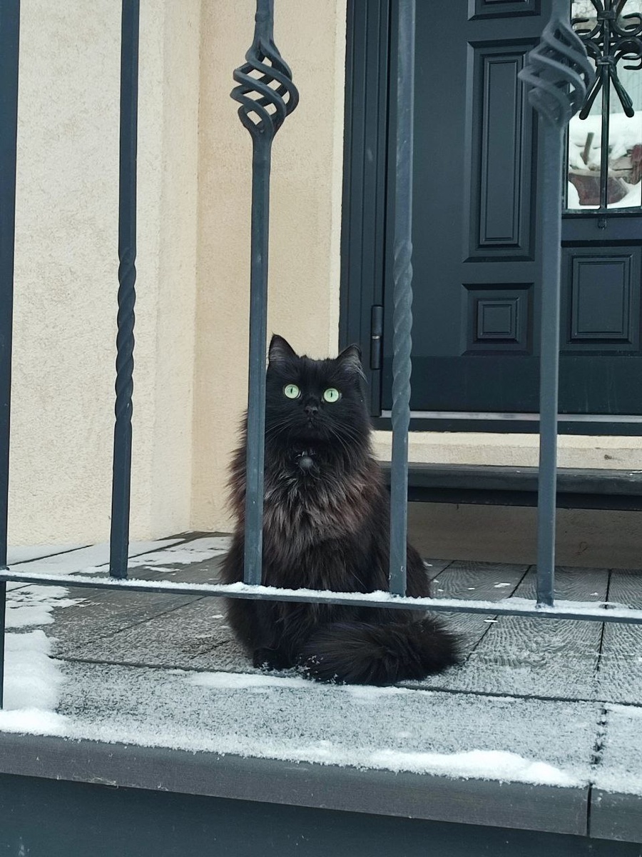 Вдохновляющие идеи для выпечки на выходных