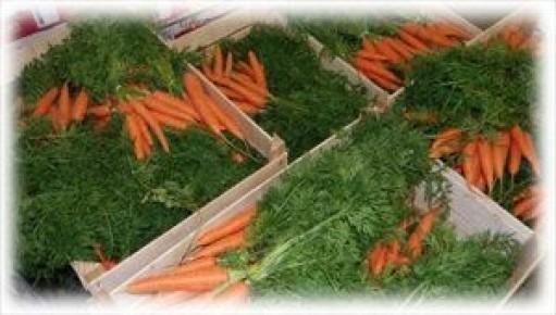 Как сохранить свежесть моркови на зиму: советы и хитрости