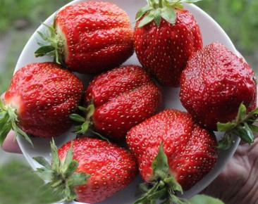 ��� ������� ��������� ����� �������� ��� ������ ����