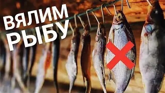 Искусство зимнего вяления: секреты сохранения улова без риска