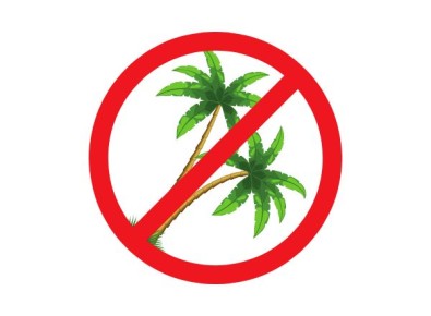 ��������� �����: ��� ����� ����� � ����� ���������� ������������ ����