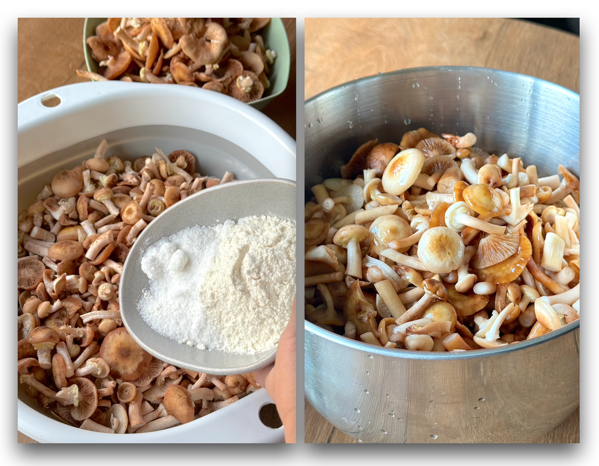 Эффективные способы очистки грибов: секреты и советы