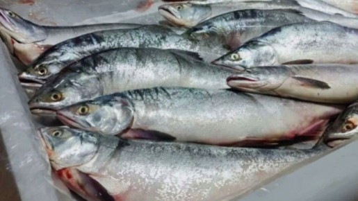 ��� ������ � ������ ��������: 5 ���������� ����