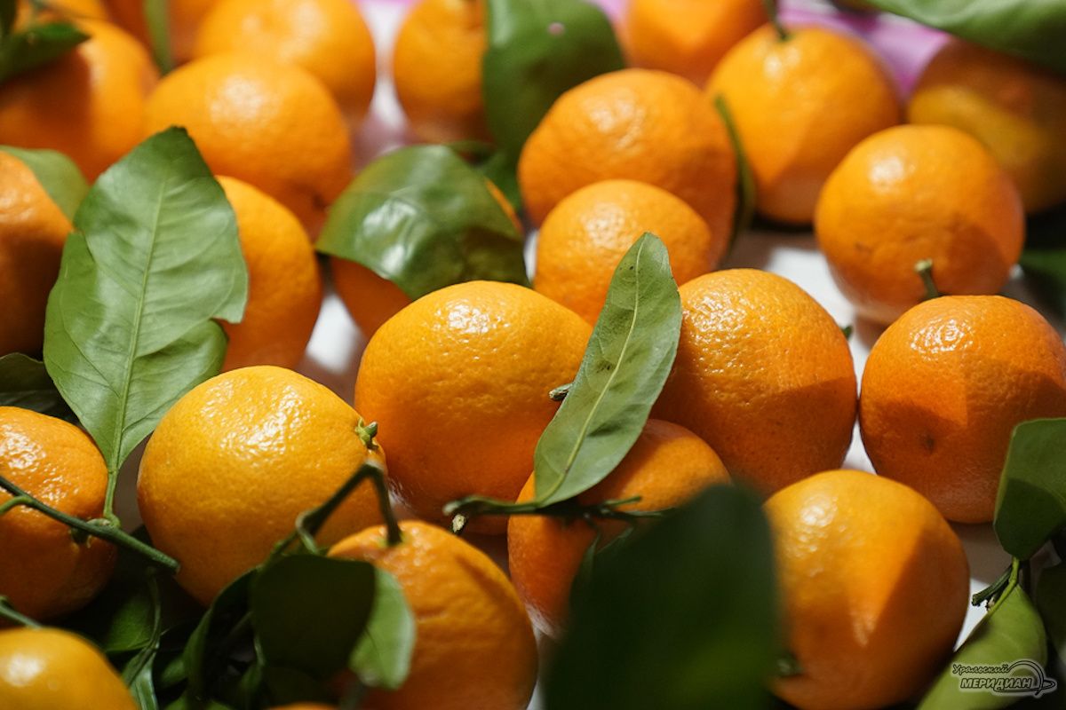 Урал встречает Новый год с впечатляющей поставкой мандаринов