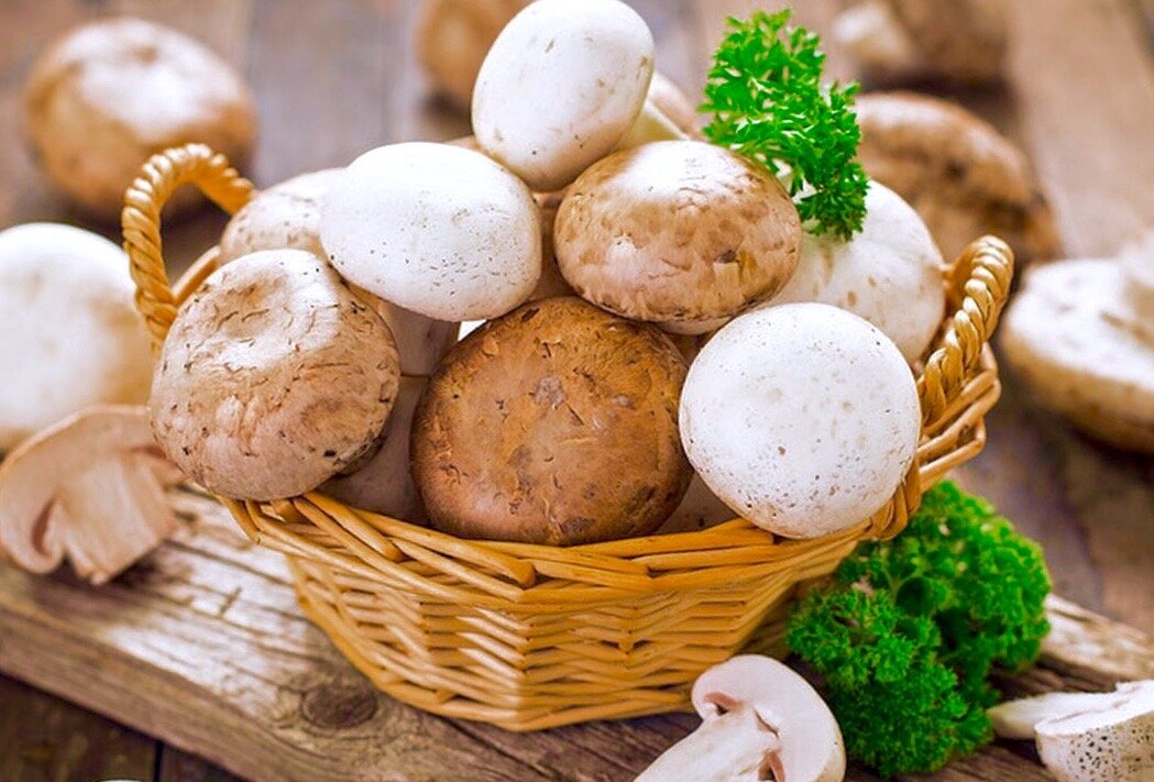 Шампиньоны: секреты выбора и приготовления