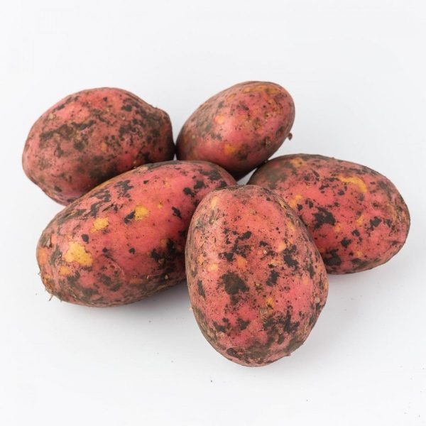 Картофель Ред Анна: идеальный выбор для вашего стола