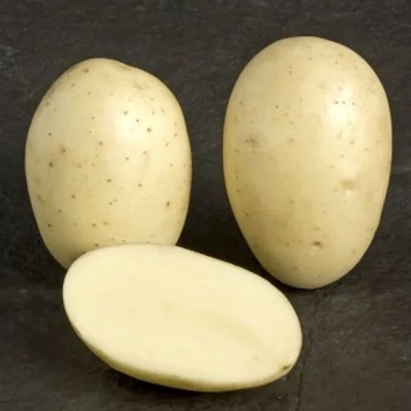 Картофель Айл Оф Джура: секреты идеального урожая и непревзойденного вкуса