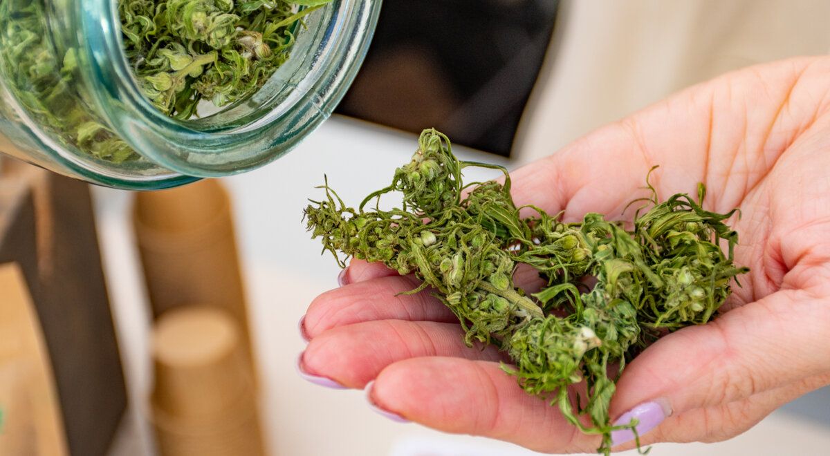 ��� �� �������: ����� ������ ����� ��� �������� � �������� ����������