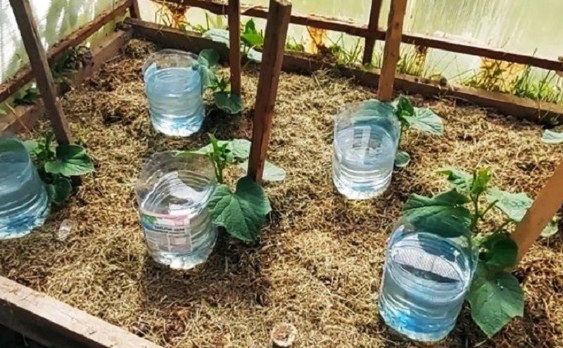 �������� ������� � ����: ��������� ����� �� ������� ��� ��������� �������