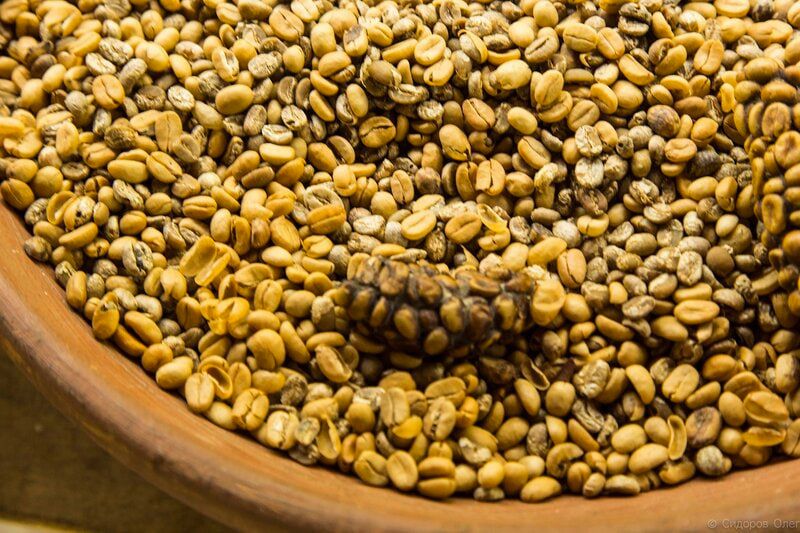 ���-3 �������� ����������, ������� ������� ������������ �����������