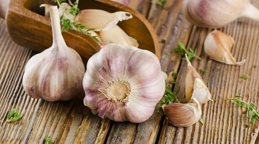 ������������ �������� �������: �� ��������� �� ����� ����