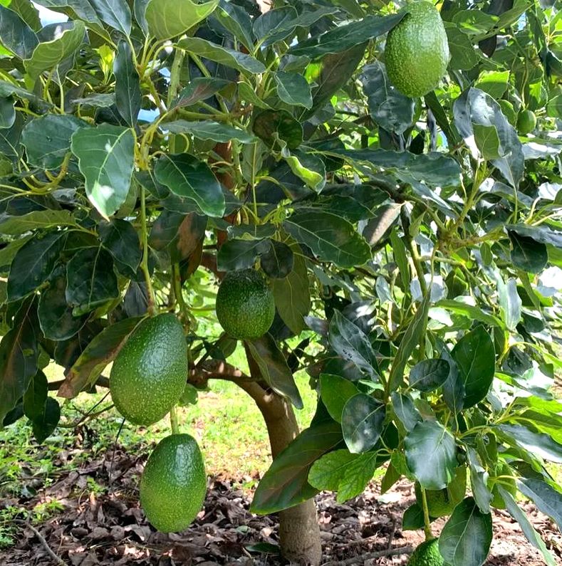 �������: ������������ ����� � �������� �������� � ������������ ������