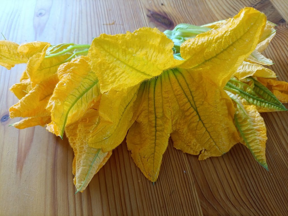 Кулинарные эксперименты: как приготовить цветы кабачков по простому рецепту