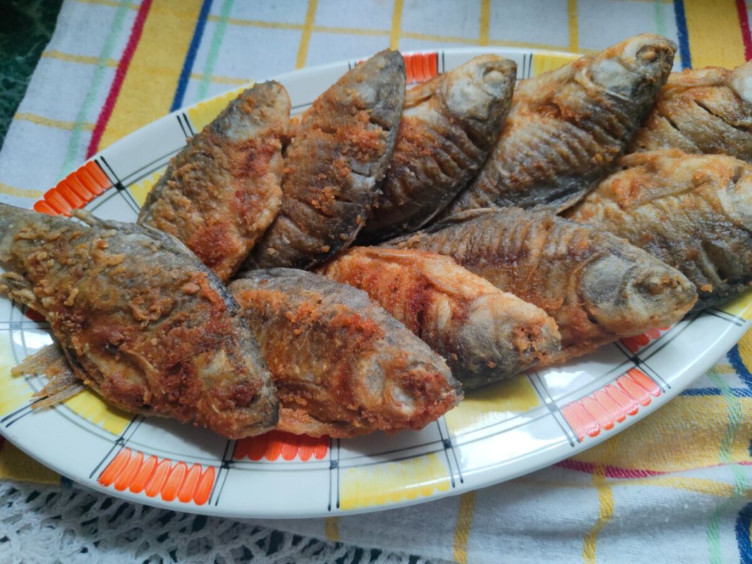 ��������� ������ �������� ������ ���� ��� ������