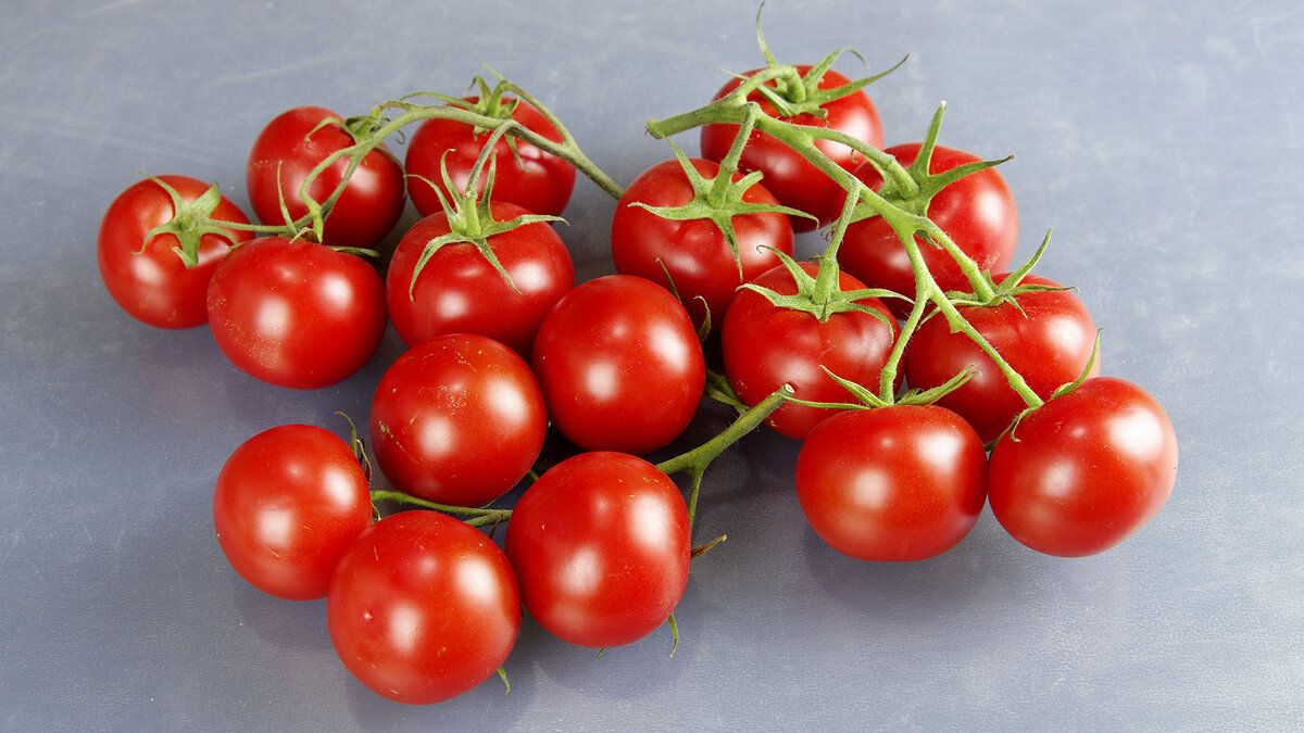 ��� ������� �������� ��� ������ ��������� �����������