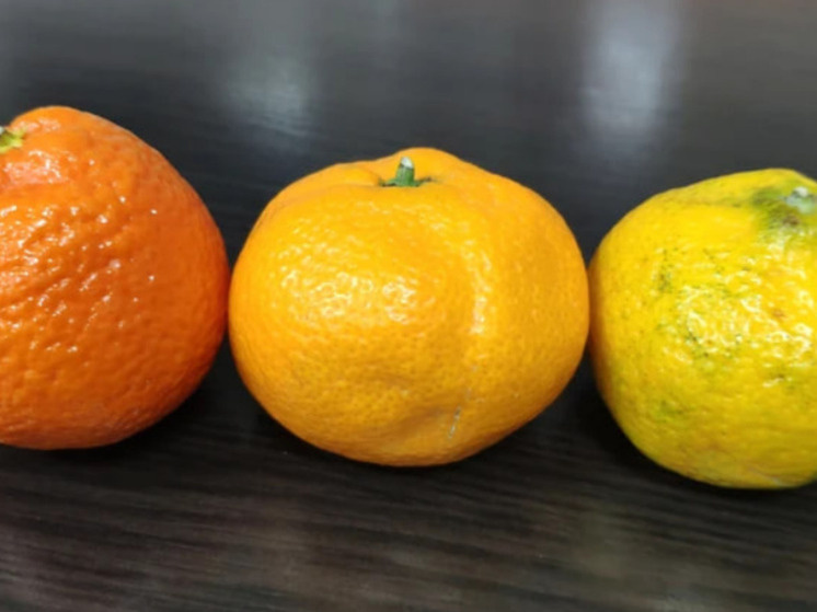Как выбрать идеальные мандарины к Новому году: советы Роспотребнадзора