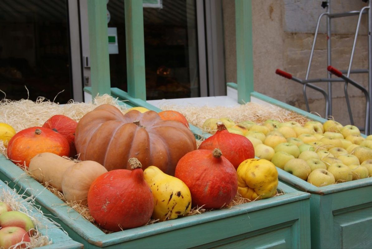 ����� ����������: �� ��������� � ����������