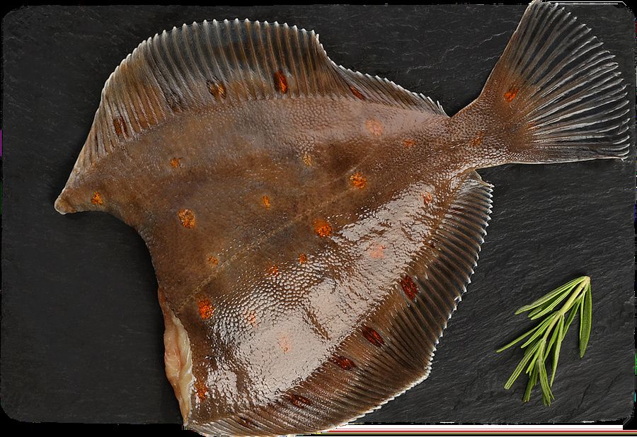 �������: ������� ������, ���������� ���-������� ����