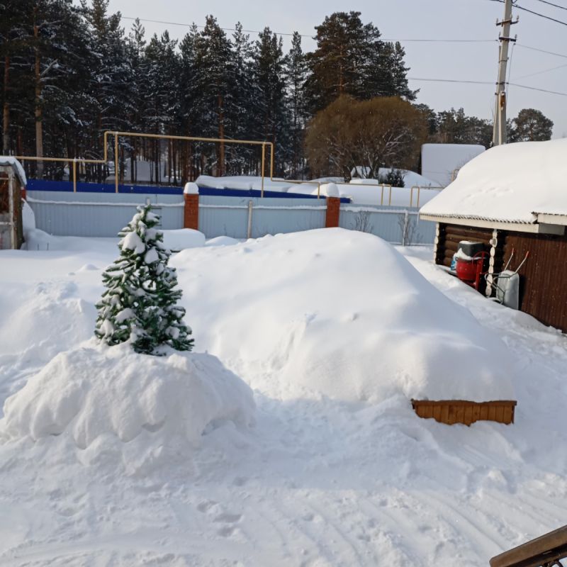 �������� � �������� ������: ��� �������� ���� ��� ���� �����