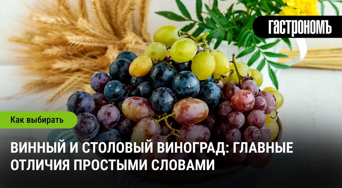 ������ � �������� ��������: �������� ��������