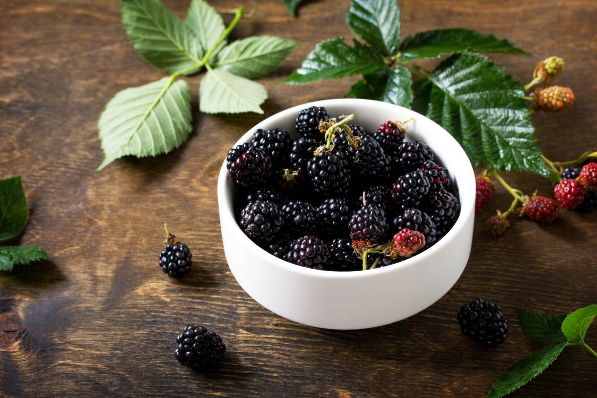 �������: ������� ��������� ��� ����� � ��������