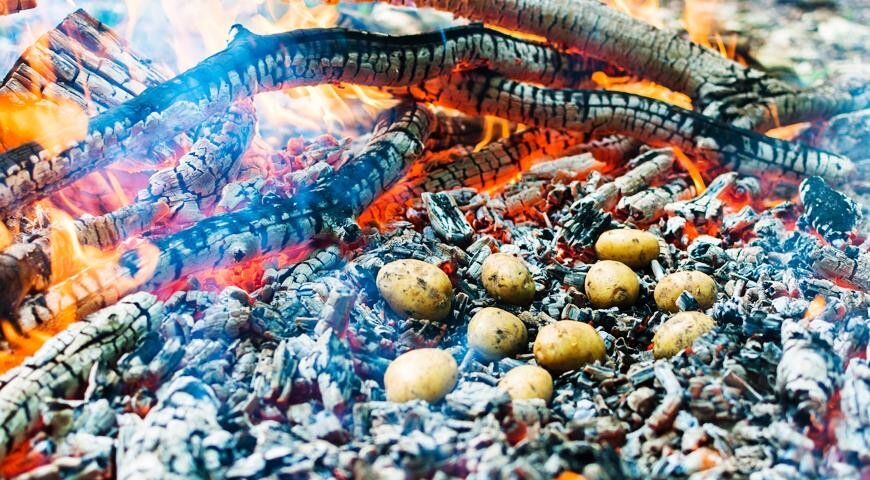 Как вкусно запечь картошку: советы для пикника и домашних посиделок