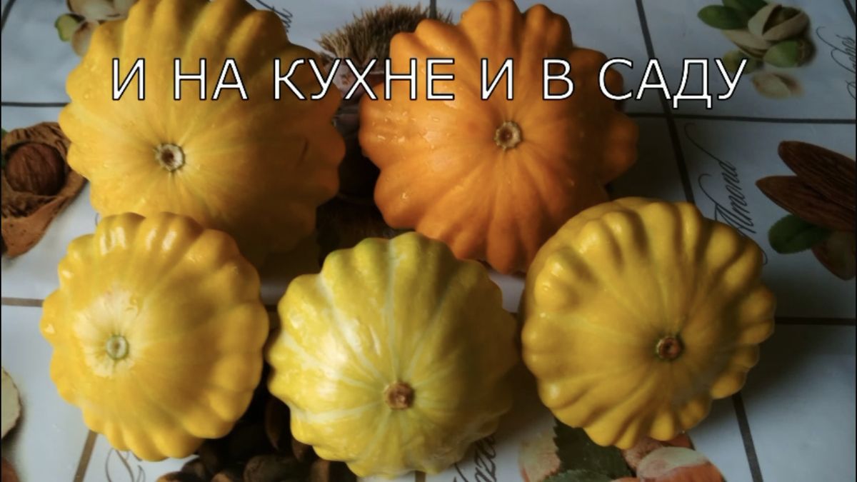 ��� ��������� ���������� ���������: ������� ������