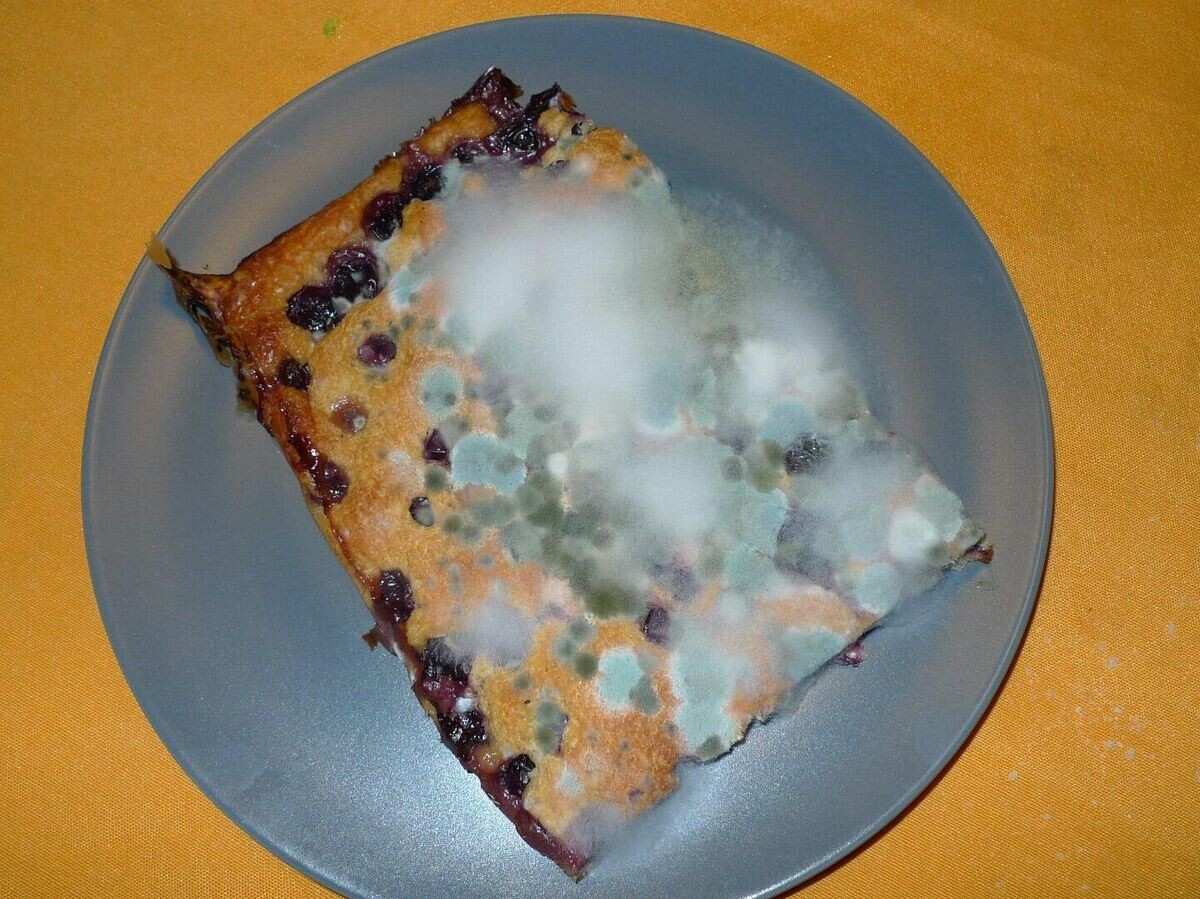 Проблемы готовой еды: Роскачество выступило за разработку стандартов